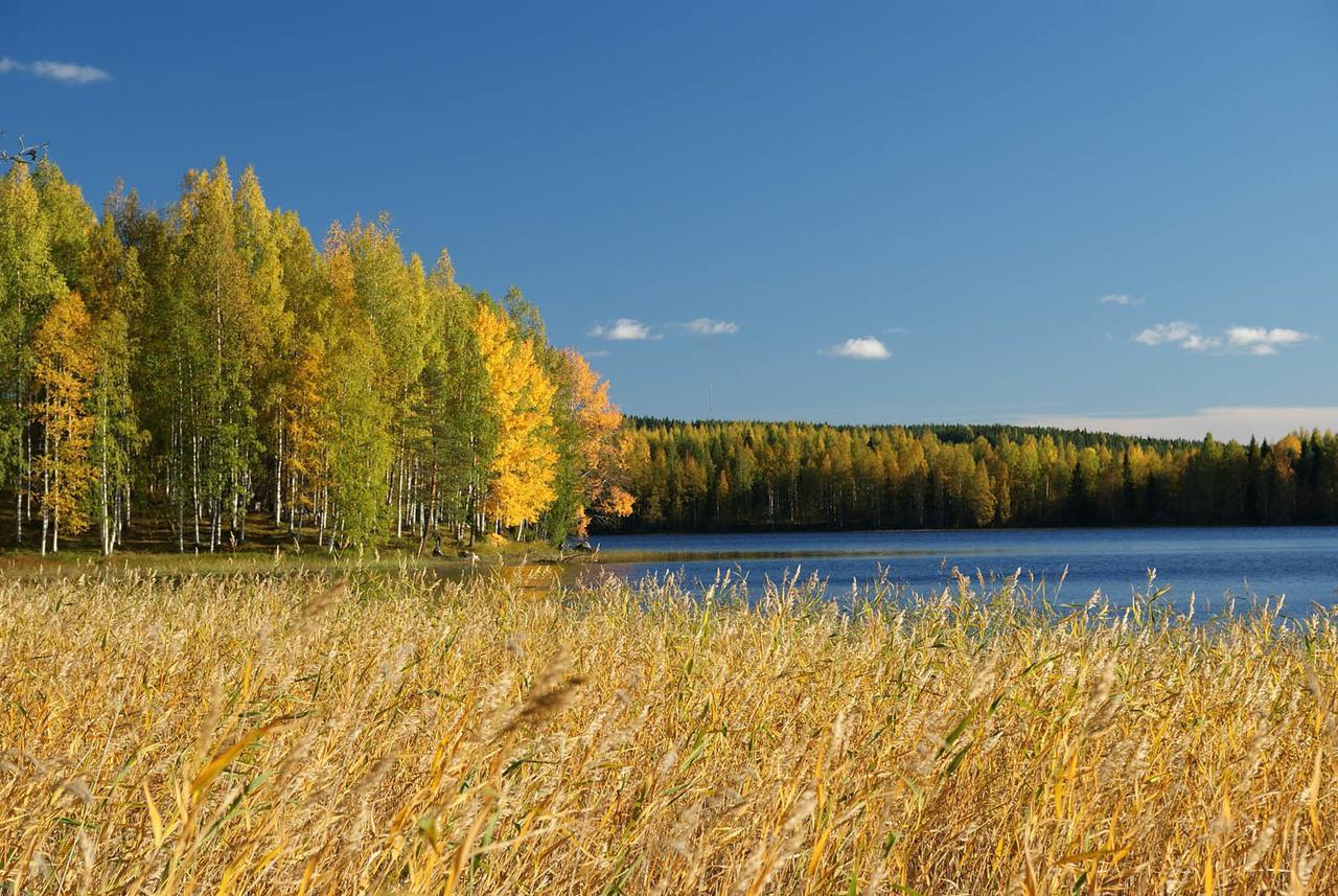 Ik Hotel & Camping Keuruu Eksteriør billede